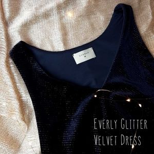 Nordstrom Everly Glitter Velvet Navy Swing Dress